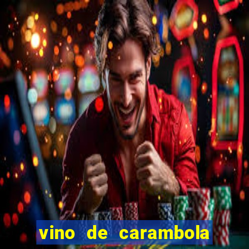 vino de carambola stardew valley